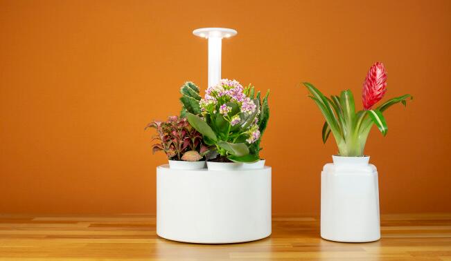 Application status of plant lighting users Application status of plant lighting users