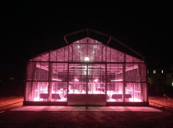 Current introduces LED lighting system for Canadian greenhouse Current introduces LED lighting system for Canadian greenhouse