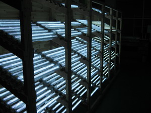 Factory-Tour4