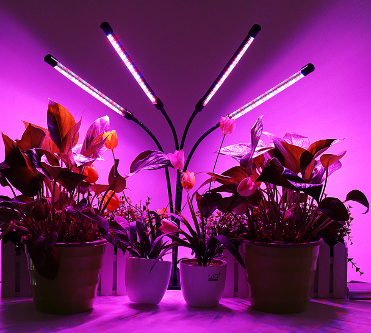 LED plant grow light and laser grow light LED plant grow light and laser grow light
