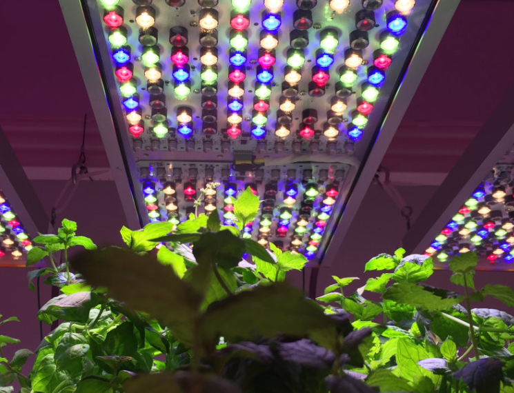 The indoor health lighting series group standard is officially released The indoor health lighting series group standard is officially released