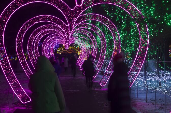 Zhuque Light Show in Jilin City, Jilin Province Zhuque Light Show in Jilin City, Jilin Province